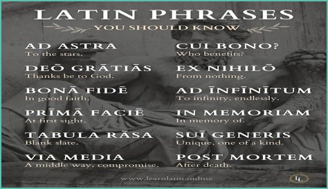 A Profile Of A Latin Beauty