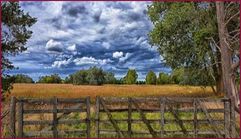 What is severance tax in oil and gas?